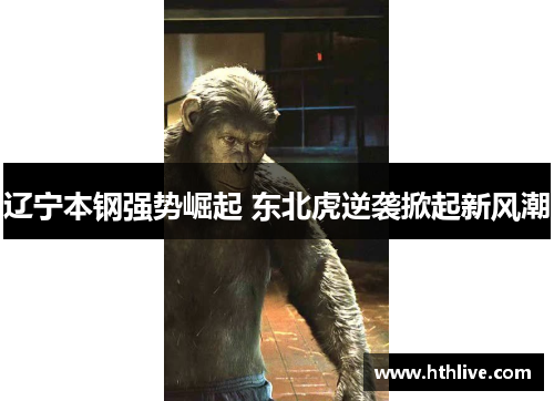 辽宁本钢强势崛起 东北虎逆袭掀起新风潮