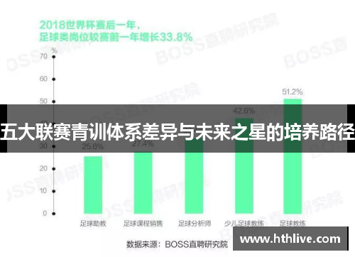 五大联赛青训体系差异与未来之星的培养路径